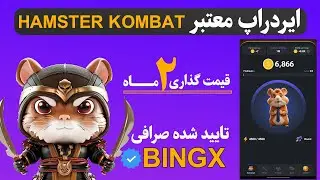موش ثروت ساز 🐹 | ربات کسب درآمد تایید شده bingx