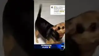 Ой тышь тышь тышь, забежала в жопу мышь.