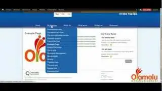 Olamalu - Changing the Order of Menu Items in Drupal 7