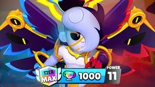 MAX RANK Edgar guide!