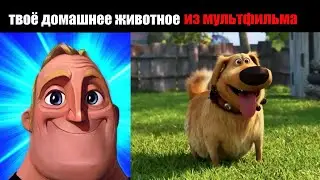 Когда твоё домашнее животное из мультфильма: