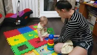 три кота и кошечка❤❤❤