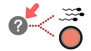 Why Did Two Sexes Evolve?