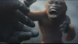 GxK KONG ADOPTS SUKO CLIP