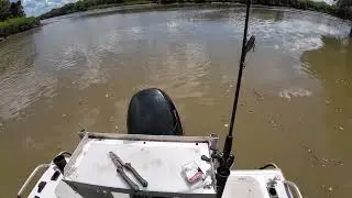 BIG CROC charges the boat #bigcroc #adelaideriverjumpingcrocodile