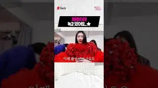 🚨SOS🚨 채령이가 녹고 있어요..⭐  