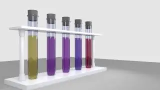 Test tube and rack modelling