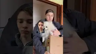 Папе подарок 