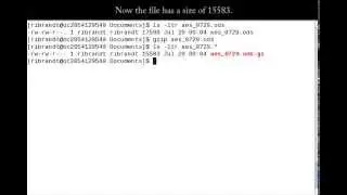 Linux Command (Gzip)