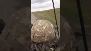 29 мая 2023 г.