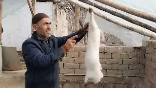 Қуён сўйиш ва сотувга тайёрлаш, упаковка қилиш.