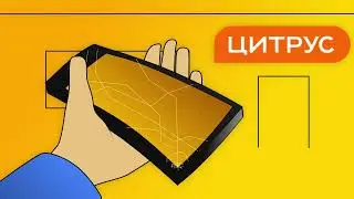 Цитрус