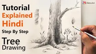 Full Explained Tutorial How To Draw and Shade Tree Trunk Step By Step with Pencil Drawing, Real Time