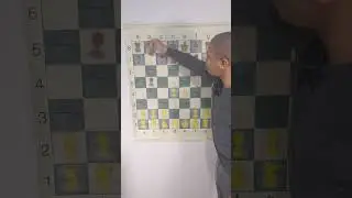 What is the Polish Defense in Chess?