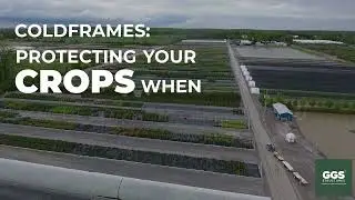 Coldframes: The Versatile Solution for Year-Round Growing