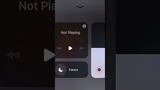 iPhone panel