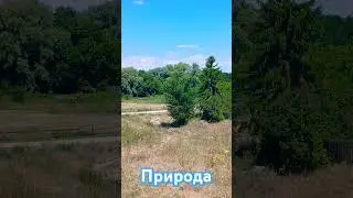 Деревенская природа