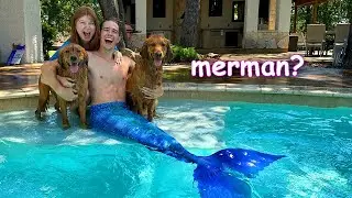 My Dogs Meet a Mermaid! 🧜‍♀️