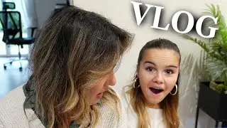 WEEKLY VLOG : Retour de courses, Barbes à Papa, et fous rire!