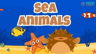 SEA Animals for Kids Toddlers | Learn with Song and Toys
