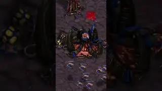 Stormgate has a similiar kamikaze unit like Scourge in StarCraft Brood War