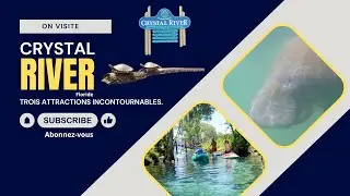 Road trip Floride, Crystal River (trois attractions incontournables)