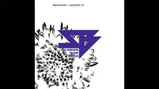 Rammstein - Laichzeit inteumental v3