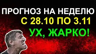 ПРОГНОЗ НА НЕДЕЛЮ С 28.10 ПО 03.11. НОВОЛУНИЕ В СКОРПИОНЕ. СУПЕР-НЕДЕЛЯ 😁