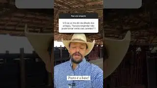 Análise do Ditado: 'Boi para Engordar não Pode Tomar Vento nas Canelas' na Pecuária. #pecuaria #boi