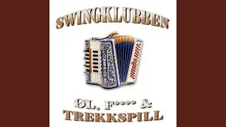 Øl, fitte og trekkspill