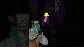 Asking people what their favorite cosmetic is (pt.2!) #gtag #gorillatag #vr #gaming #memes #funny