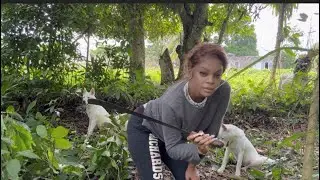 My Rural life FARMER GIRL JESS COME FARM WITH ME TROUBLE IN PARADISE