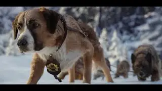 Miyagi & Эндшпиль feat. Намо Миниган - Воином (OST The Call of the Wild) Клип