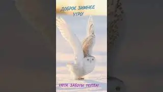 доброе зимнее утречко ❤️