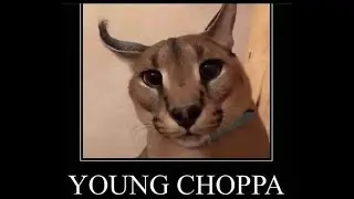 Когда купил школу в кредит