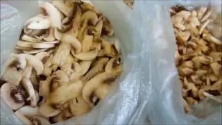 Запасаем на зиму: правила заморозки продуктов