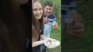 Самые лучшие грибники 