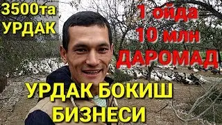 УЗБда УРДАК БОКИШ БИЗНЕСИ ойига 10 млн ДАРОМАД