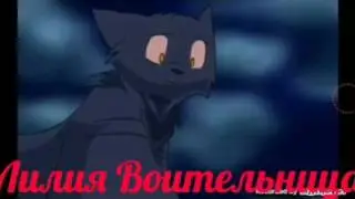 Грач и Ласточка: Мало так мало