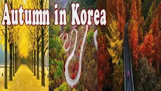 Top10 Best Autumn Foliage Destinations in Korea, 2021년 최고의 단풍을 보여줄 곳을 선정해서 안내하는 영상입니다가을 #단풍