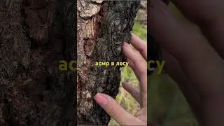 Новый асмр ролик уже на канале! #асмр #asmr