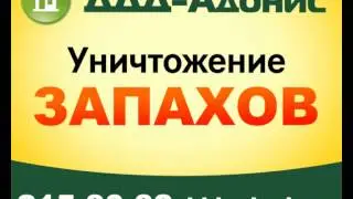 уничтожение запахов, плесени