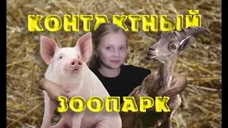 Контактный зоопарк
