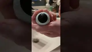 Golf Ball Hunting Mystery #8 - Titleist's DARK SECRET ⚫ 👀