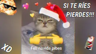 LOS MEJORES VÍDEOS GRACIOSOS!!⭐ - Si te RÍES PIERDES XD!! #9 😻🎄