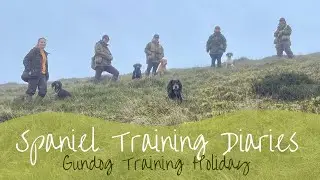 Gundog Diary - Gundog Training Holiday
