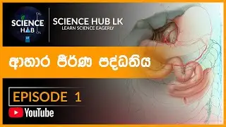 O/L Science Sinhala |  ආහාර ජීරණ පද්ධතිය | Human Digestive system | Episode 1
