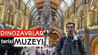 Londonda Dinozavr suyaklari osilgan muzey|| Natural History Museum