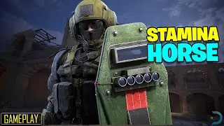 Tibet the Stamina Horse! Tibet Gameplay | калибр геймплея