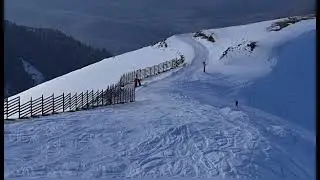 #РозаХутор
